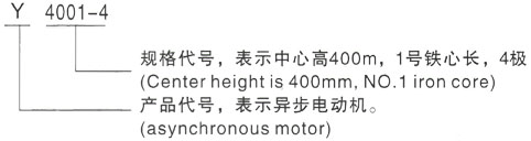 西安泰富西玛Y系列(H355-1000)高压天津三相异步电机型号说明